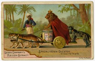 Specialitaten-Theater: Lion king, Liebig's