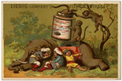 Monkeys getting in Liebig jar