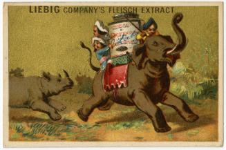 Running from a rhinocerous: Liebig's