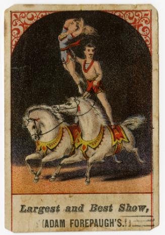Adam Forepaugh: Equestrians