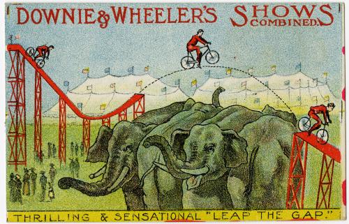 Downie & Wheeler: Daredevil bicyclists jumping over elephants