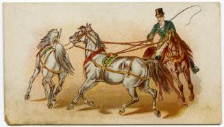 Horse trainer