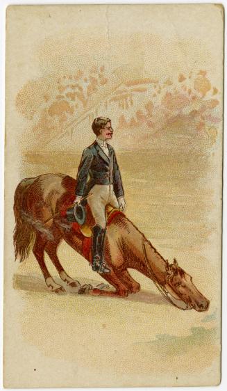 Horse bowing