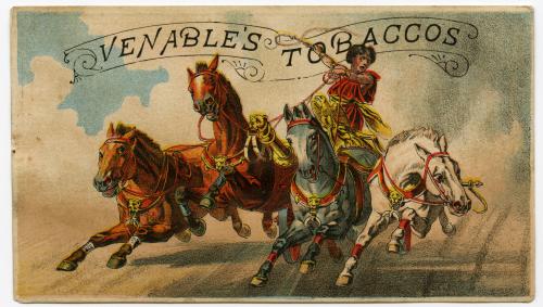 Horse Chariot