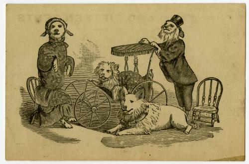 Dressed-Up Dogs