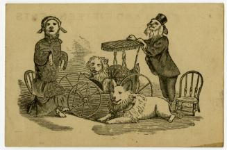 Dressed-Up Dogs