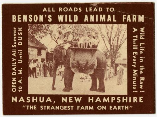 Benson's Wild Animal Farm