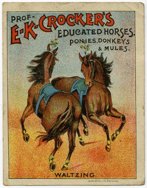 Prof. E.K. Crocker: Educated Horses