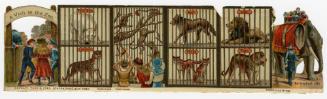 A Visit to the Zoo