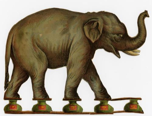 Elephant