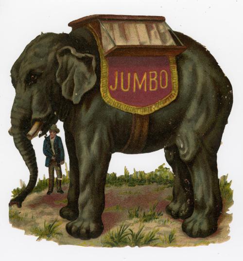 Jumbo