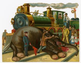 Death of Jumbo