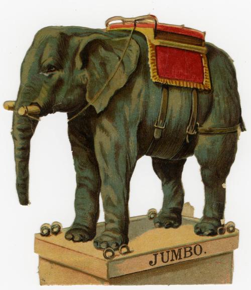 Jumbo on platform