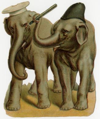 Elephant poking another elephant with a stick