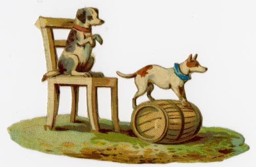 Performing Dogs
