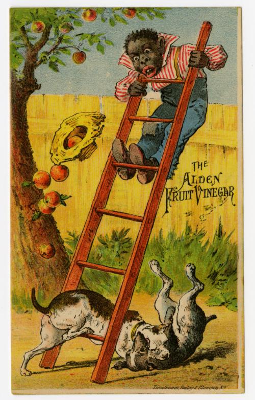 The Alden Fruit Vinegar: dogs fighting