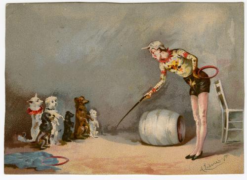 Clown directing trained dogs