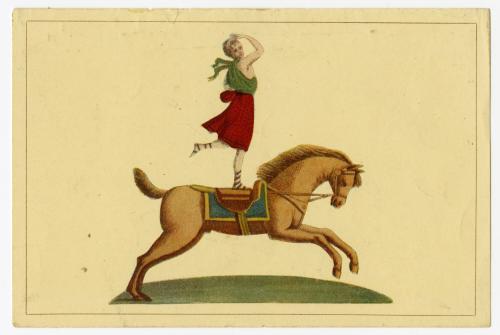 Equestrian