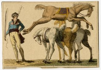 Horse jumping over three horses