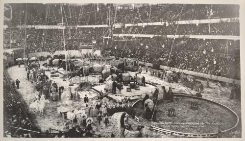 Ringling Brothers and Barnum & Bailey Circus