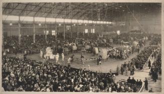Ringling Bros. and Barnum & Bailey Combined Circus in New York's Mammoth New Coliseum in the Bronx