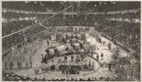 Ringling Bros. and Barnum & Bailey Combined Circus; Madison Square Garden