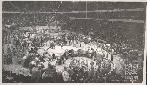 Ringling Bros. and Barnum & Bailey