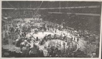 Ringling Bros. and Barnum & Bailey