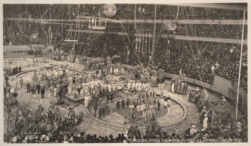 Ringling Bros. and Barnum & Bailey Combined Circus