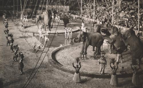 Ringling Bros. and Barnum & Bailey