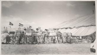 Ringling Bros. and Barnum & Bailey Combined Circus