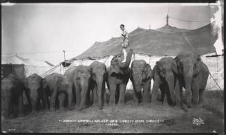 Dorothy Campbell Walker with Christy Bros. Circus