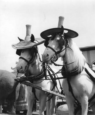 Two horses wearing hats pulling a float.