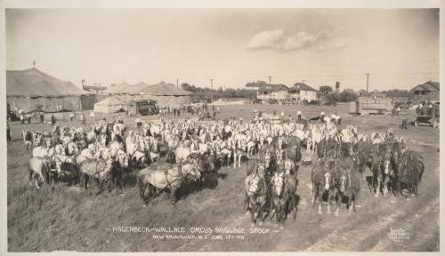 Hagenbeck-Wallace Circus Baggage Stock