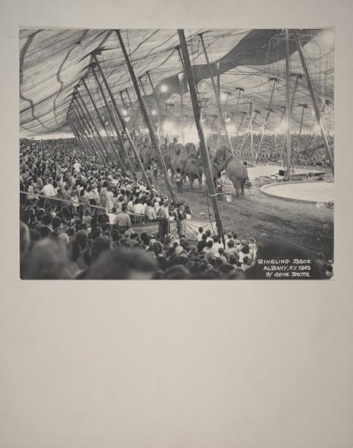 Ringling Bros. and Barnum & Bailey: Elephants Inside Big Top