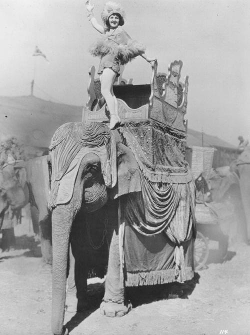 Zefta Loyal of the Repenski Troupe stands on an elephant's shoulder in a spec number.