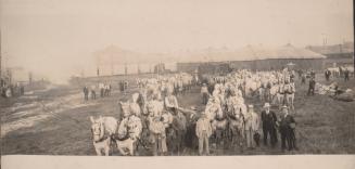 Hagenbeck-Wallace: Lot Scene with Baggage Horses