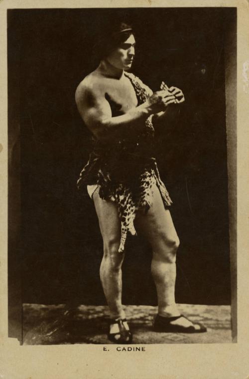 E. Cadine