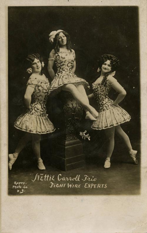 Nettie Carroll Trio: Tight Wire Experts