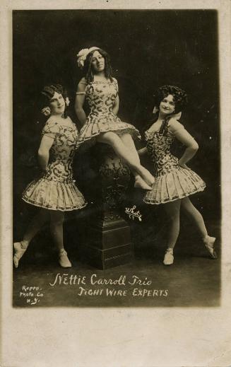 Nettie Carroll Trio: Tight Wire Experts