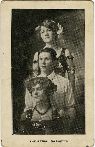 The Aerial Barnetts