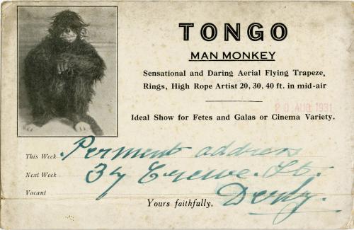 TONGO: Man Monkey