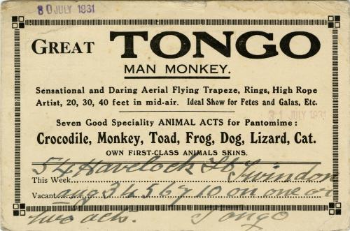 Great Tongo Man Monkey