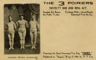 The 3 Poiriers