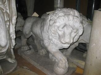 Lion with foot on ball
