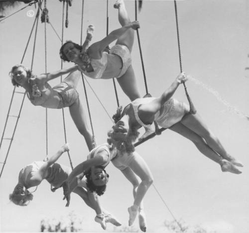 Aerial Production Performers