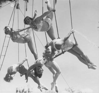 Aerial Production Performers