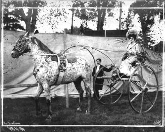Miss Helen Girard