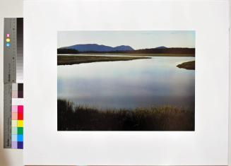 Tidal marsh. Mount Desert Island, Maine. August 4, 1965 (In Wildness portfoliio)