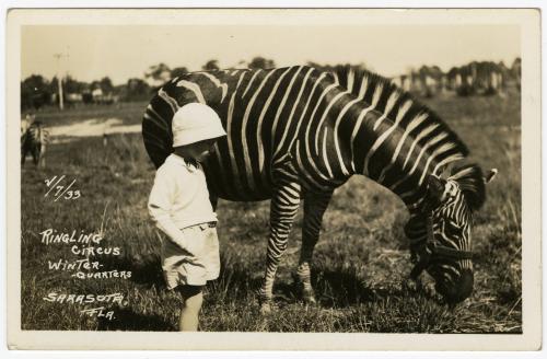 Child and zebra